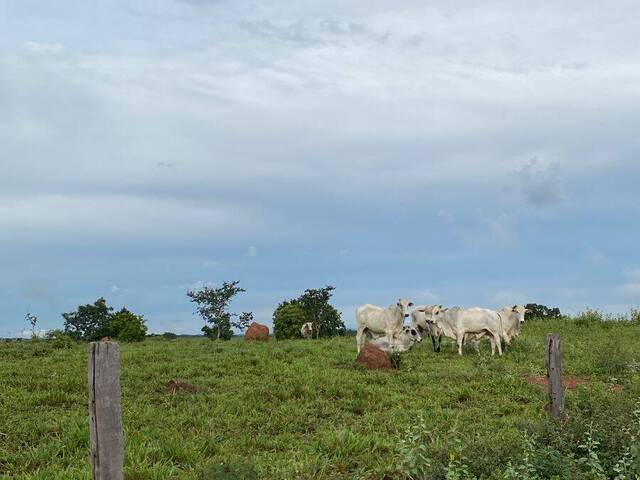 Venda em SÃO JUDAS TADEU - Coxim