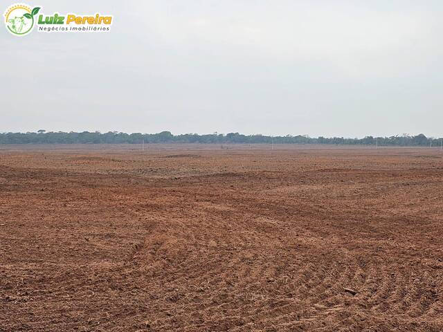 Fazenda para Venda em Paranatinga - 4