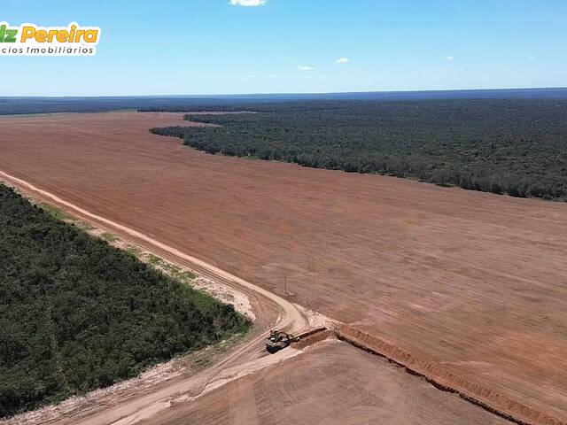 Fazenda para Venda em Paranatinga - 5
