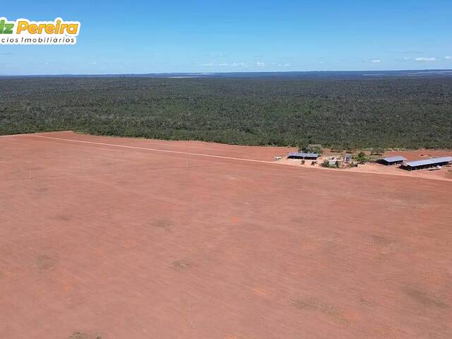 #3305 - Fazenda para Venda em Portel - PA - 3