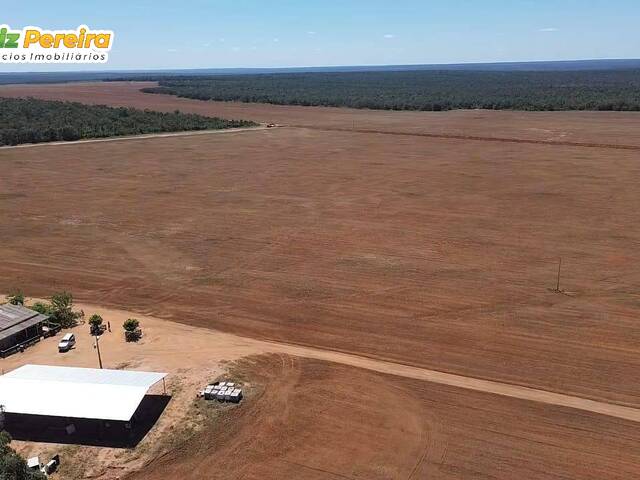#3305 - Fazenda para Venda em Portel - PA - 2
