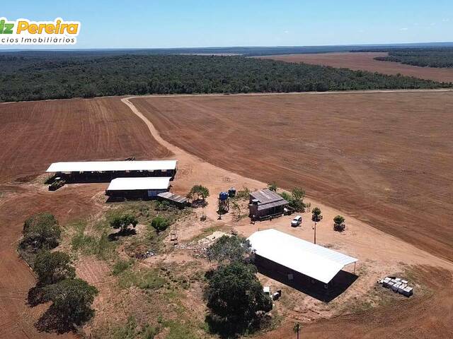 #3305 - Fazenda para Venda em Portel - PA - 1