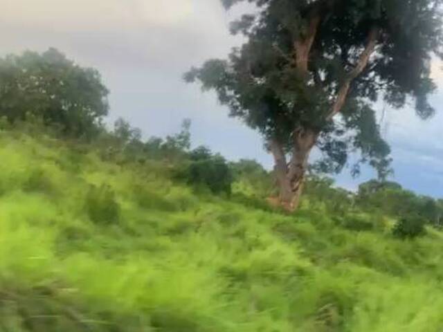 Fazenda para Venda em Natividade - 2