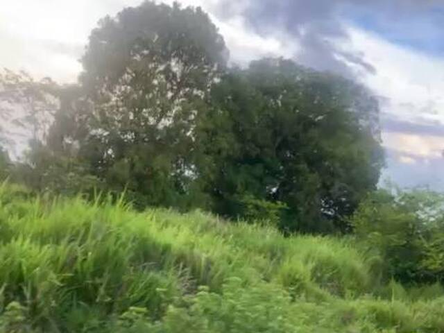 Fazenda para Venda em Natividade - 3