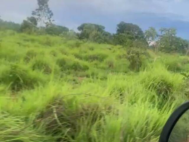 Fazenda para Venda em Natividade - 4