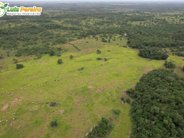 #3307 - Fazenda para Venda em Floresta do Araguaia - PA - 2