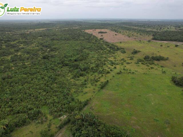 Fazenda para Venda em Floresta do Araguaia - 5