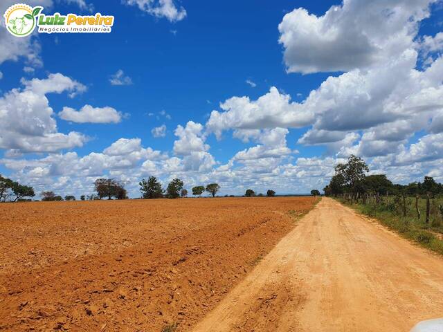 #3308 - Fazenda para Venda em Taipas do Tocantins - TO