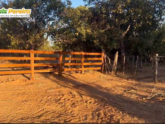 Fazenda para Venda em Taipas do Tocantins - 5