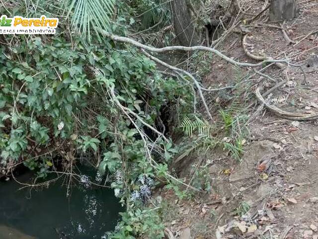 Fazenda para Venda em Taipas do Tocantins - 4