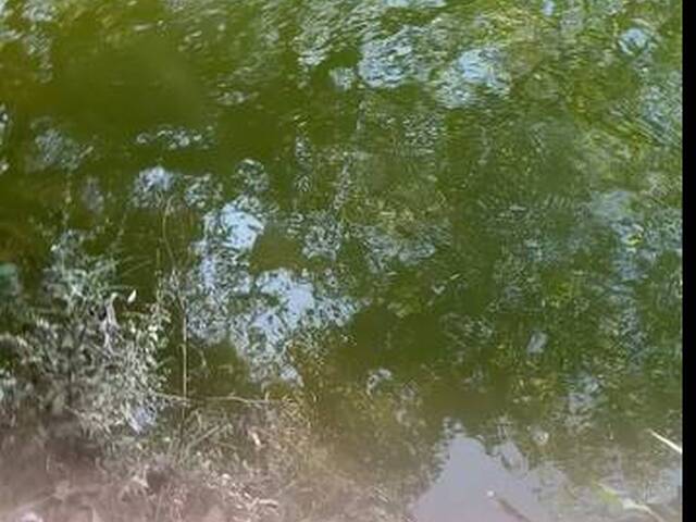 Fazenda para Venda em Taipas do Tocantins - 3