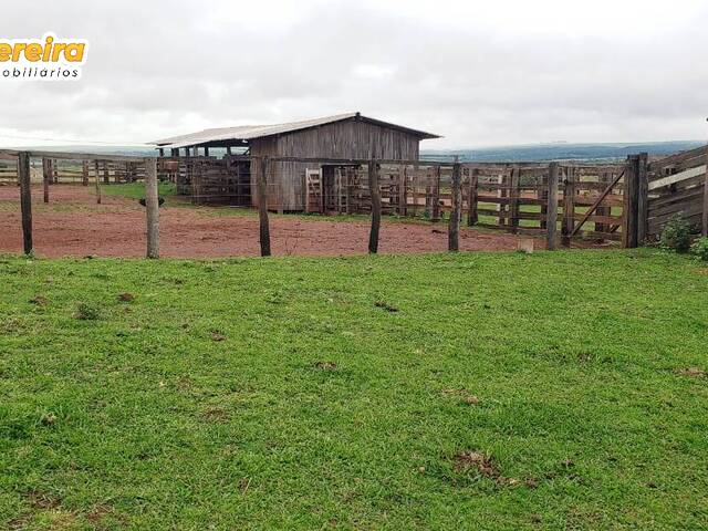 Fazenda para Venda em Itiquira - 5
