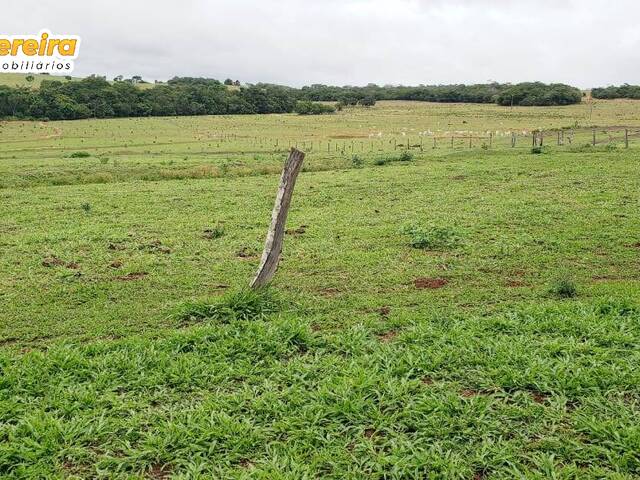 #3309 - Fazenda para Venda em Portel - PA - 3