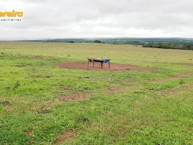 #3309 - Fazenda para Venda em Portel - PA - 2