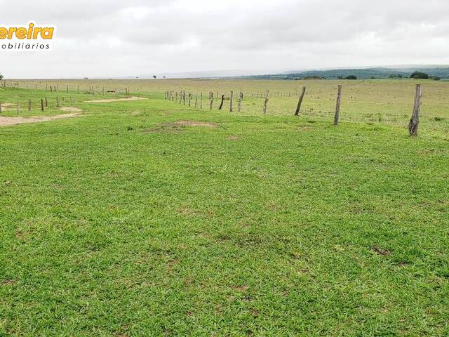 Fazenda para Venda em Itiquira - 4