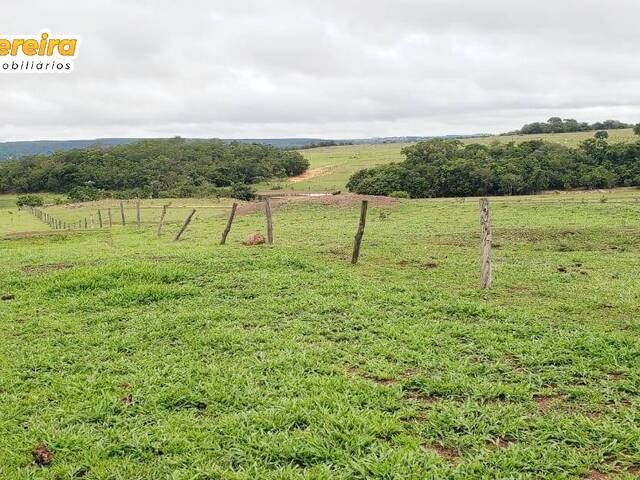 #3309 - Fazenda para Venda em Portel - PA - 1