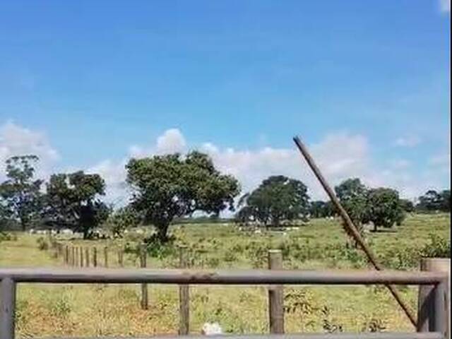 Fazenda para Venda em Camapuã - 5