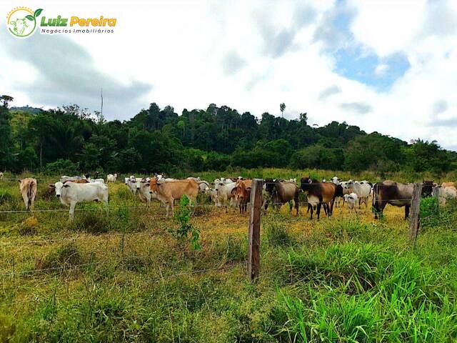 Fazenda para Venda em Bom Jesus do Tocantins - 4