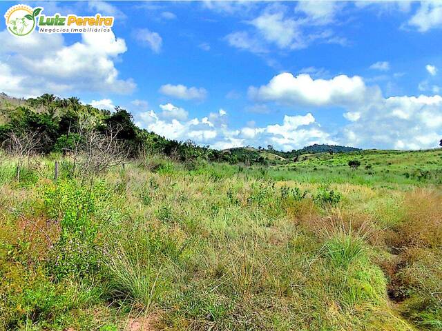 Fazenda para Venda em Bom Jesus do Tocantins - 5