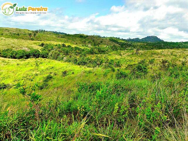 Fazenda para Venda em Bom Jesus do Tocantins - 3