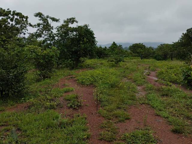 Fazenda para Venda em Conceição do Araguaia - 3
