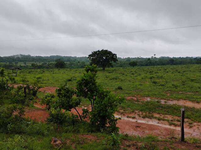 Fazenda para Venda em Conceição do Araguaia - 5