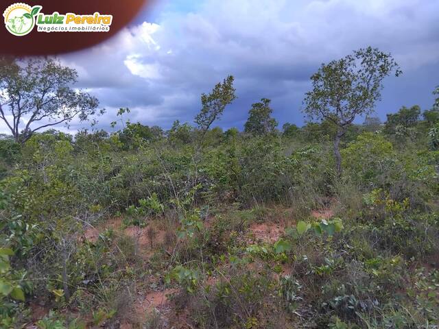 Fazenda para Venda em Almas - 5
