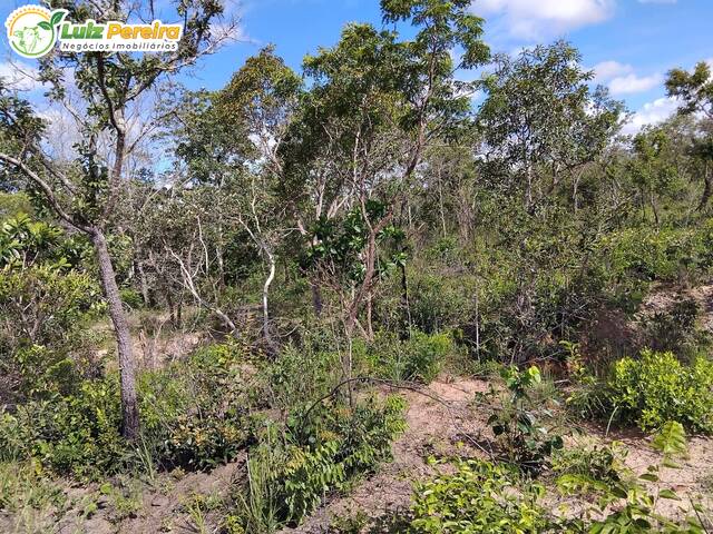 #3312 - Fazenda para Venda em Almas - TO - 1