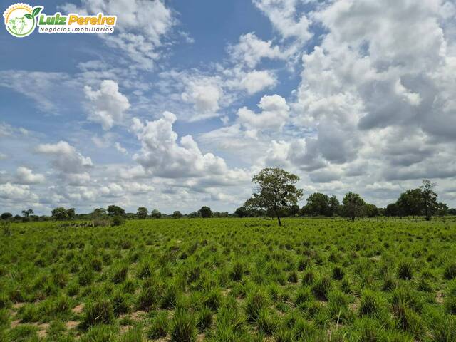 Fazenda para Venda em Itiquira - 2