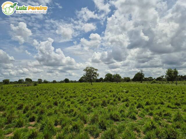 Fazenda para Venda em Itiquira - 3