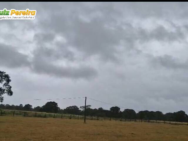 Fazenda para Venda em Itiquira - 5