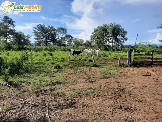 #3314 - Fazenda para Venda em Araguaína - TO