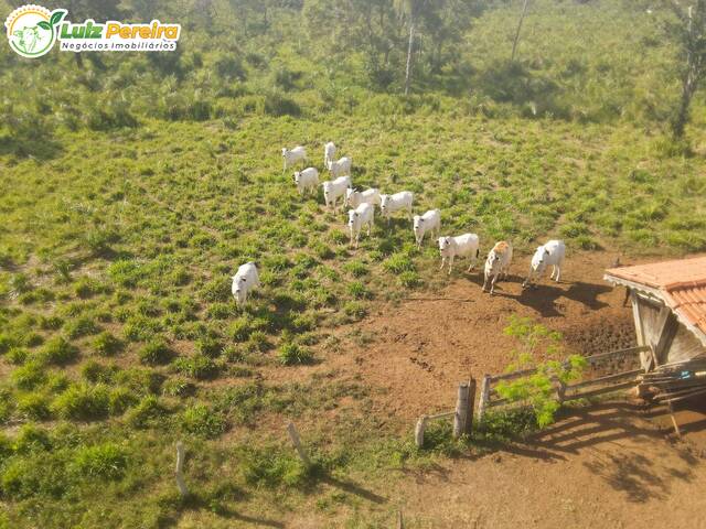 Fazenda para Venda em Araguaína - 5