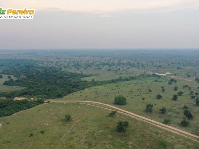 Fazenda para Venda em Conceição do Araguaia - 4