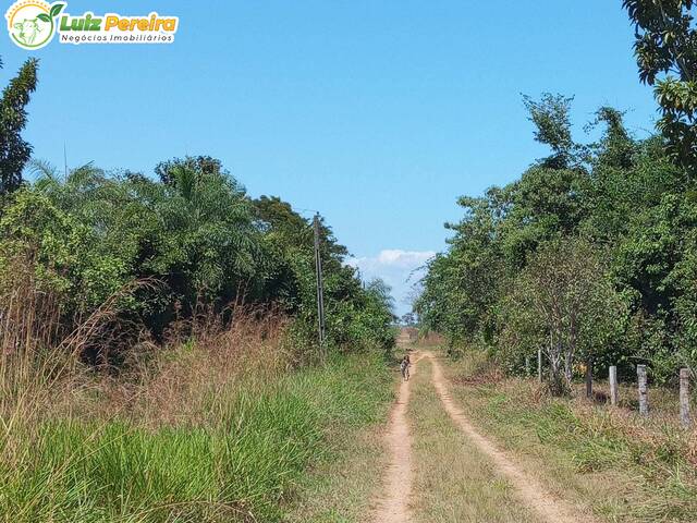 Fazenda para Venda em Conceição do Araguaia - 5