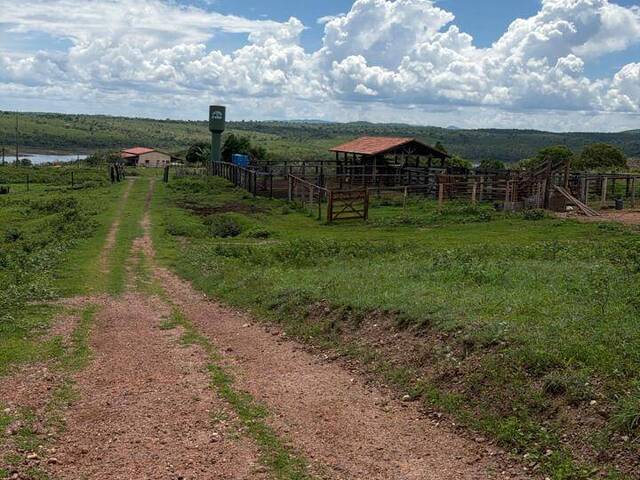 Fazenda para Venda em Uruaçu - 4