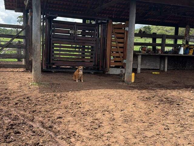 Fazenda para Venda em Uruaçu - 5