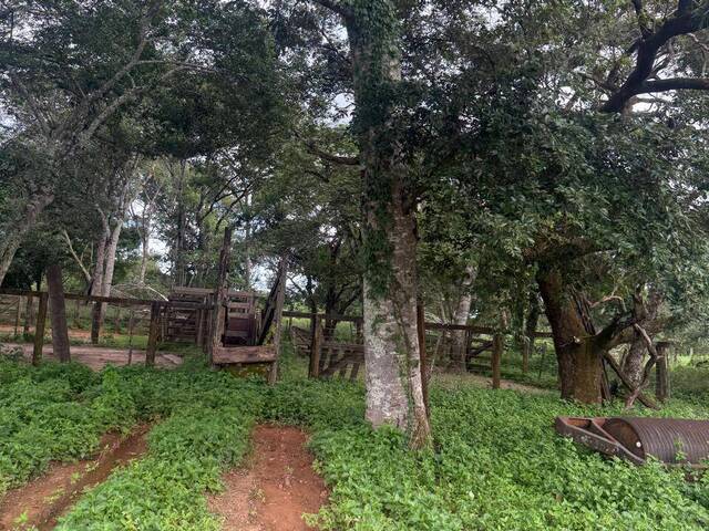 #3320 - Fazenda para Venda em Dianópolis - TO - 2