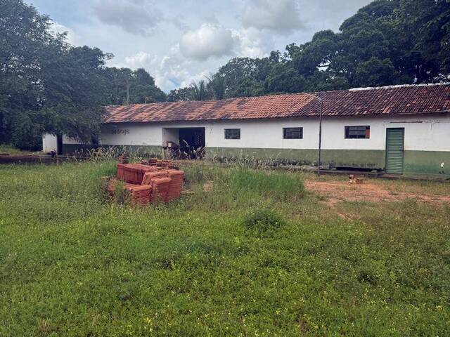 Fazenda para Venda em Dianópolis - 4