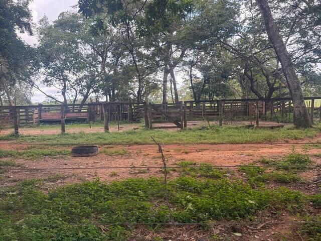 #3320 - Fazenda para Venda em Dianópolis - TO - 3