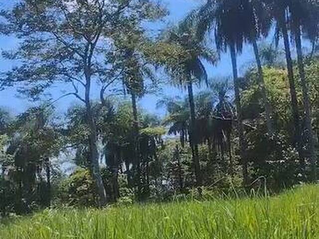#3320 - Fazenda para Venda em Dianópolis - TO - 1