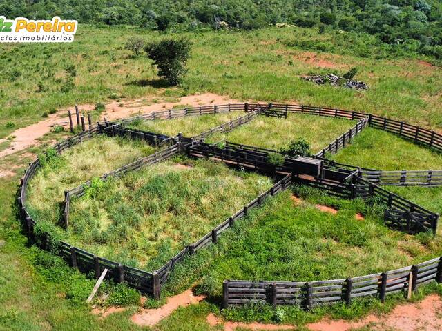 #3318 - Fazenda para Venda em Portel - PA
