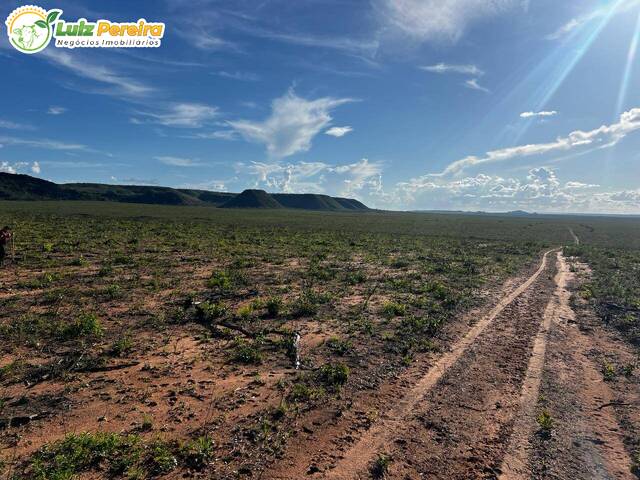 #3318 - Fazenda para Venda em Portel - PA - 3
