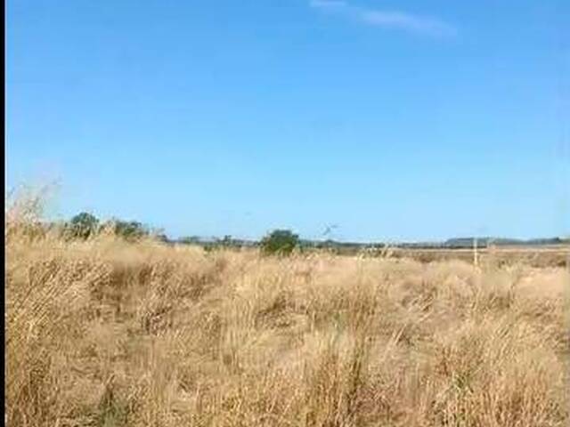 #3321 - Fazenda para Venda em Chapada da Natividade - TO - 2