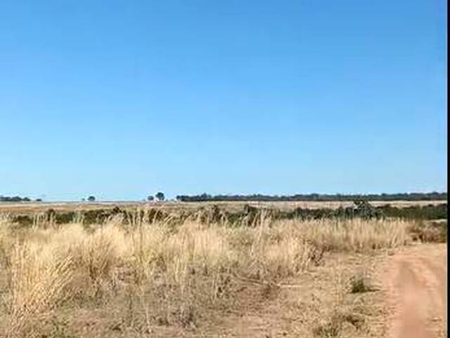 #3321 - Fazenda para Venda em Chapada da Natividade - TO - 3