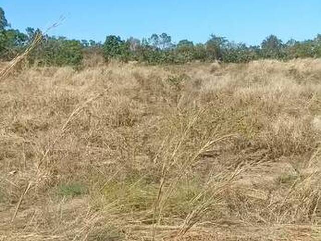 Fazenda para Venda em Chapada da Natividade - 5