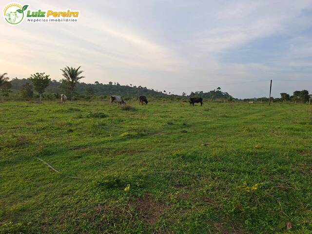#3316 - Fazenda para Venda em Pacajá - PA - 2
