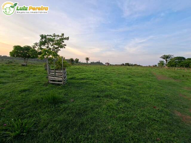 #3316 - Fazenda para Venda em Portel - PA - 3