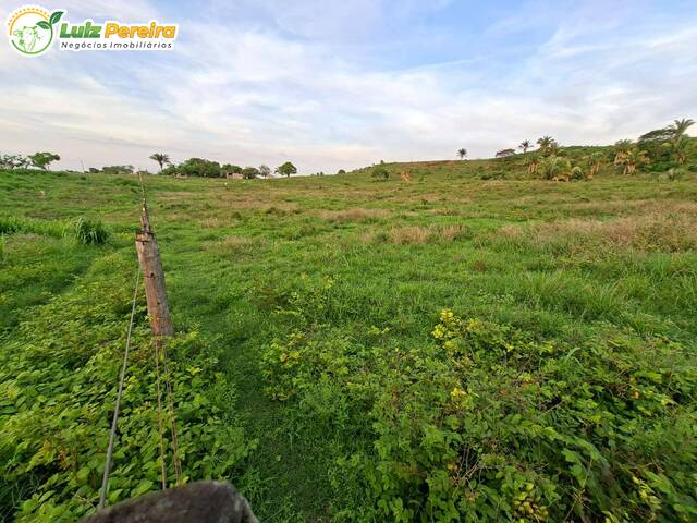 #3316 - Fazenda para Venda em Portel - PA - 1
