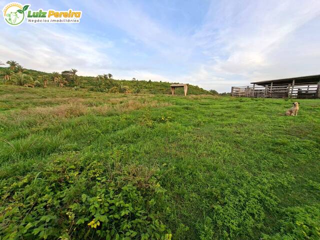 Fazenda para Venda em Carneirinho - 3